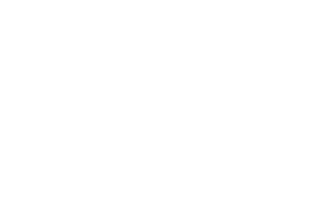 Snapin logo valkoinen